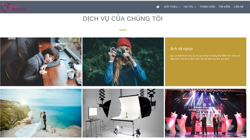 thiết kế website giới thiệu giá rẻ tại Bình Thuận
