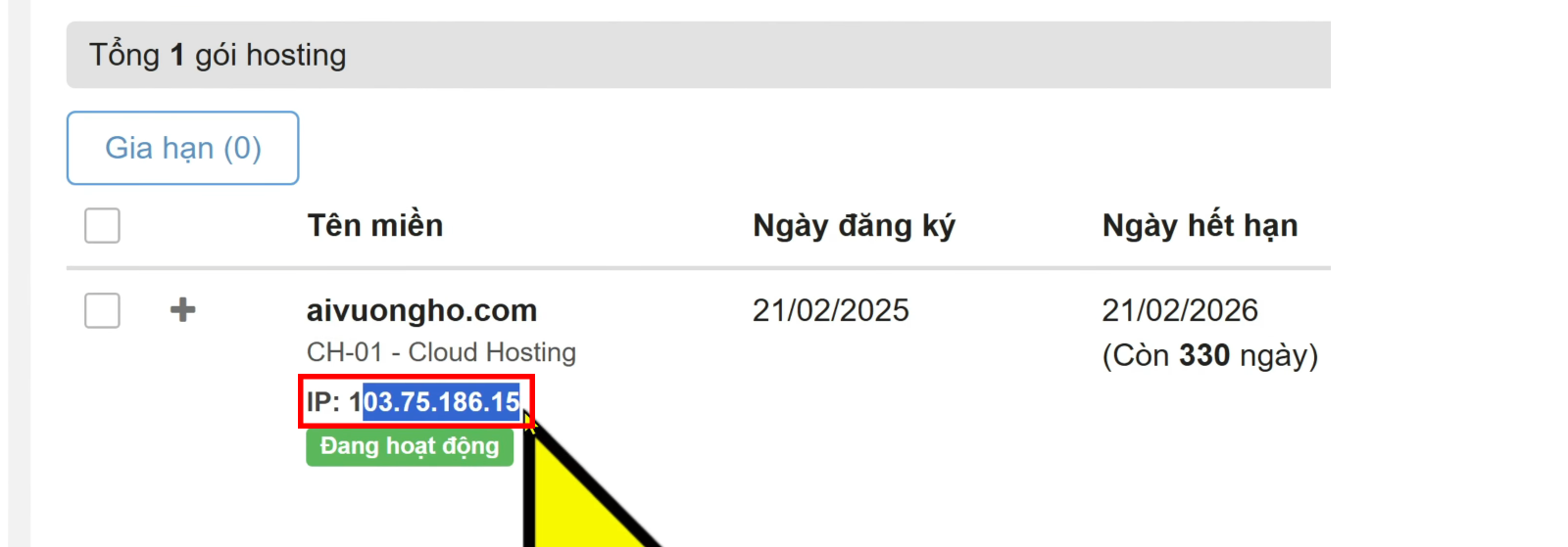 Lấy IP của hosting